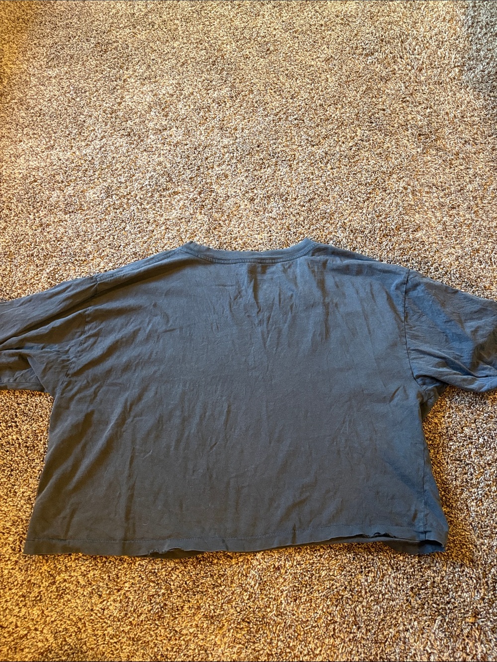 Anine Bing Johnny Cropped Tee - Picture 4 of 5